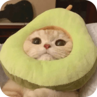 APP应用